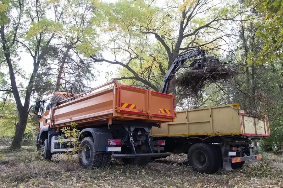 Why Hauling Services Are Ideal For Post Renovation Cleanup Woonsocket, RI