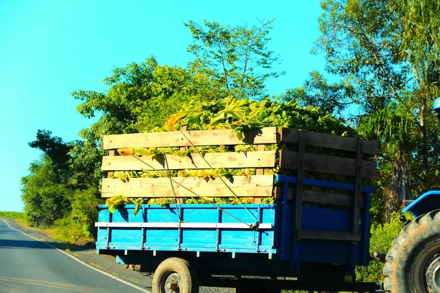 Why Hauling Services Are Ideal For Post Renovation Cleanup in Woonsocket, RI
